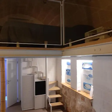 Bed & Breakfast Delle Camelie *